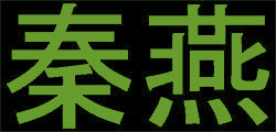 QinYen Footwear Logo